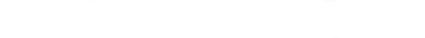 logo burstfly